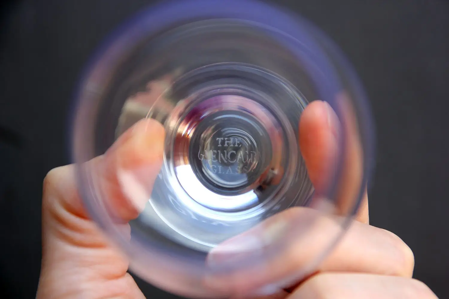 yummyfusionhub.com / Caroline Pardilla