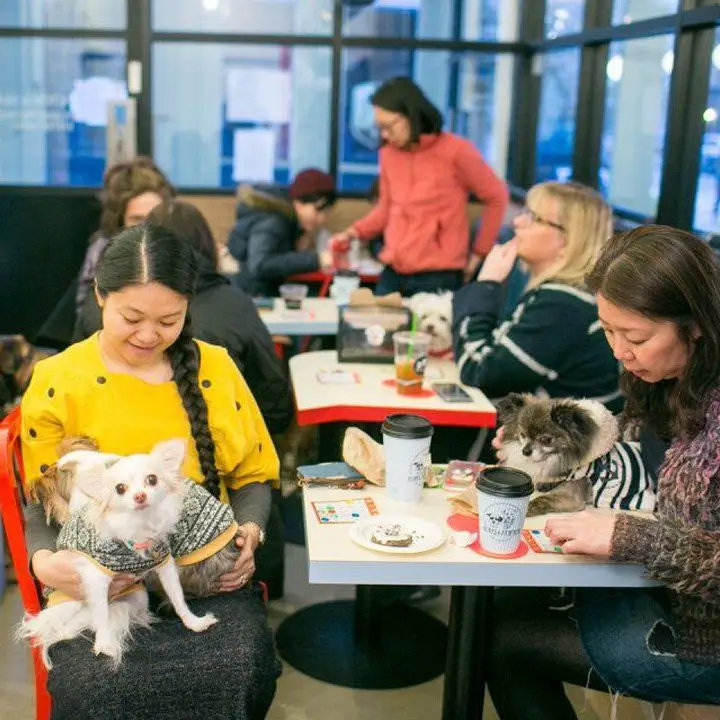 A cafe table with coffee cups on it and two patrons holding their lap dogs while seated