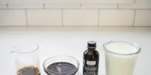 The simple ingredients needed to make a Starbucks peppermint mocha at home.' title='Peppermint Mocha Starbucks Recipe