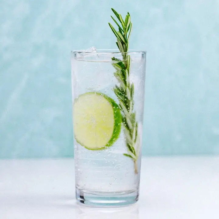 CBD Gin & Tonic in a highball glass, garnished with a lime wheel and rosemary sprig