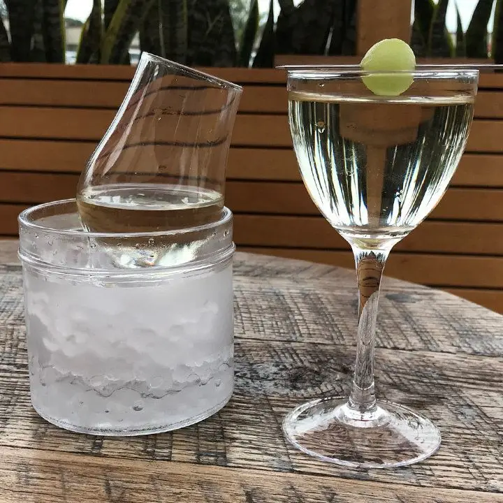 On the right, an elegant Nick & Nora glass holds a crystal clear drink, with a skewered melon ball resting on the mouth. The drink strikingly inverts the background image of plants. To its left, a partially filled mini-carafe rests on a bed of pebble ice.