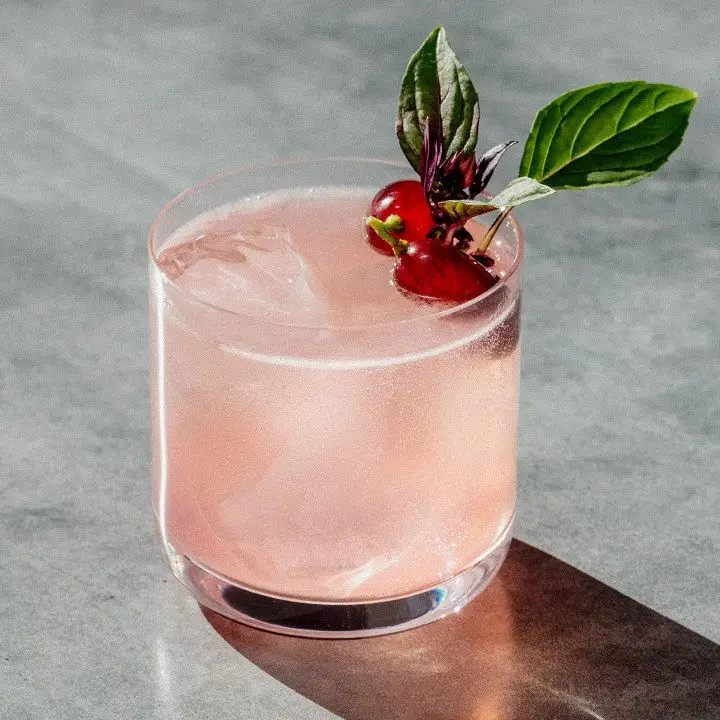 A thin-walled rocks glass sits on a concrete surface. The drink within is bright pink over ice cubes, with Concord grapes and basil leaves as a garnish.
