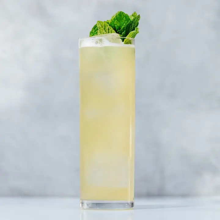Salty ginger ade non alcoholic cocktail