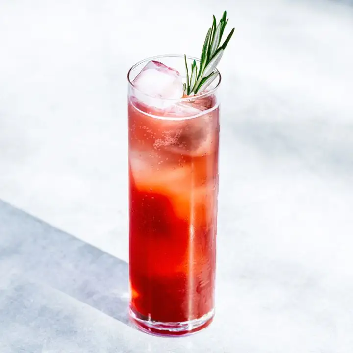 Rosemary Pomegranate Soda non alcoholic cocktail