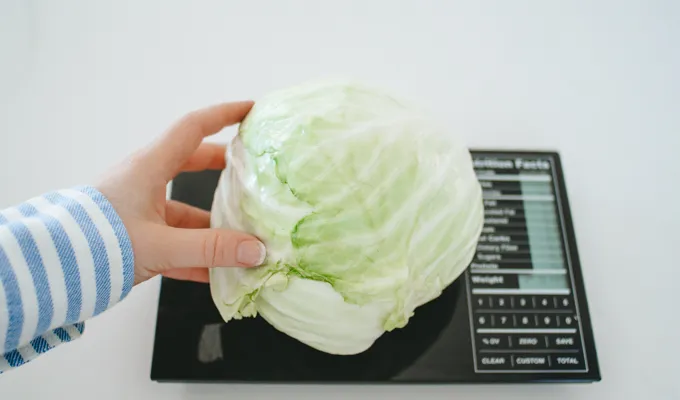 Weighing a head of cabbage for making homemade spicy sauerkraut.' title='Easy Spicy Sauerkraut Recipe
