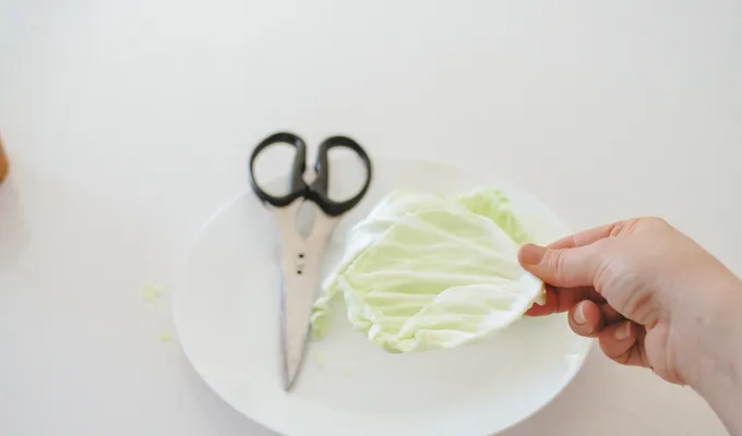 Cutting out a round of cabbage leaf for making sauerkraut.' title='Easy Spicy Sauerkraut Recipe