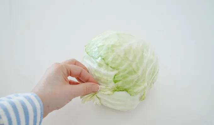 Removing brown leaves from a head of cabbage.' title='Easy Spicy Sauerkraut Recipe