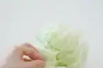 Removing the outer leaves of a head of cabbage for making spicy sauerkraut.' title='Easy Spicy Sauerkraut Recipe