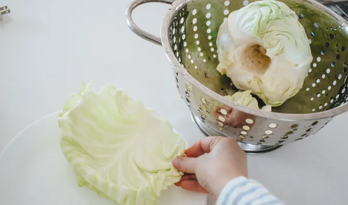 Removing an outer leaf of cabbage for making sauerkraut.' title='Easy Spicy Sauerkraut Recipe