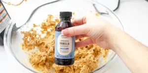 Adding the vanilla extract to the peanut butter mixture.' title='No Bake Peanut Butter Balls without Chocolate