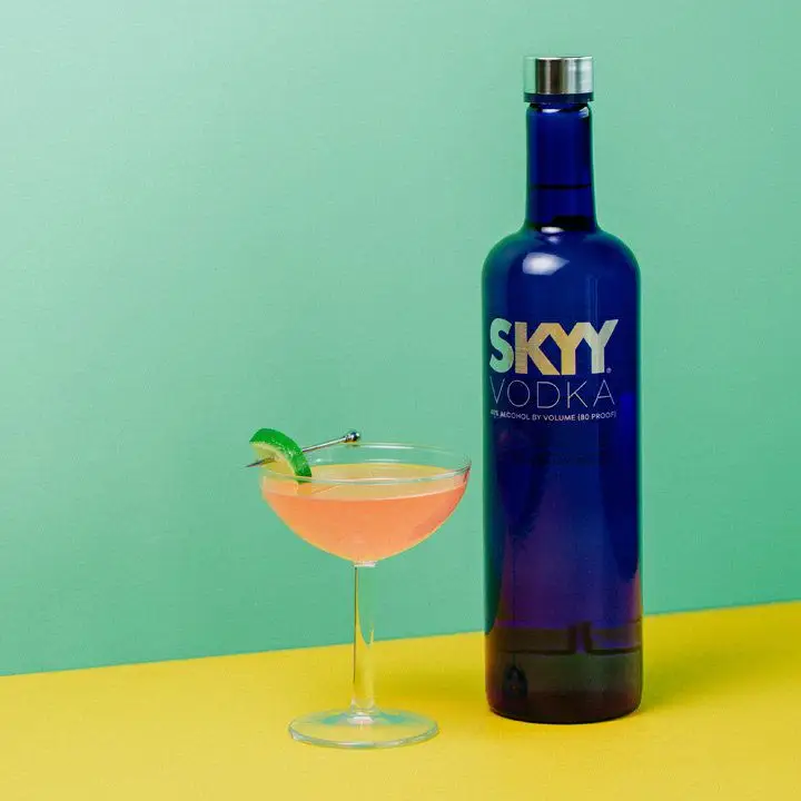 Skyy bottle