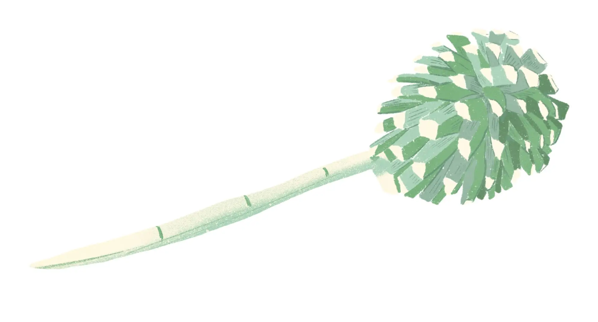 Agave heart with penca