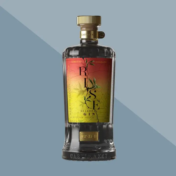 Castle and Key Rise gin