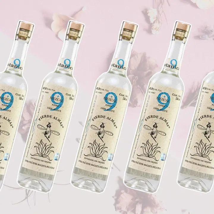 pierde almas +9 mezcal gin