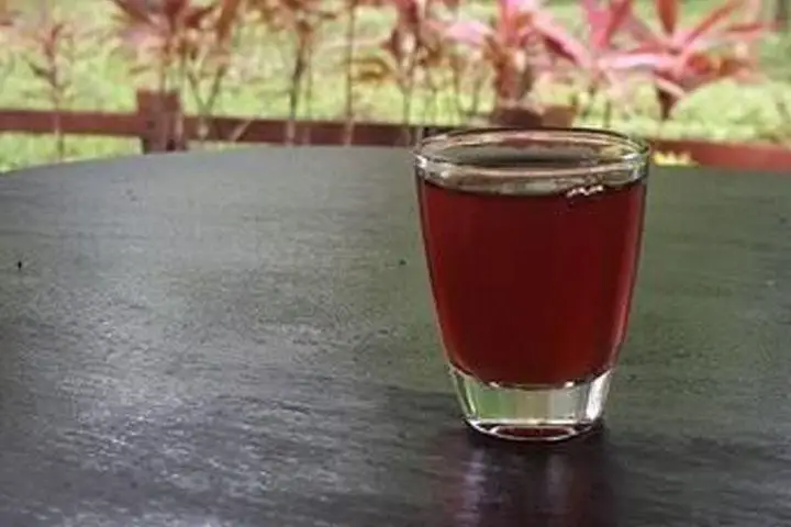 A small, clear glass filled with dark amber Mamajuana on a wood table with tropical leaves in the background