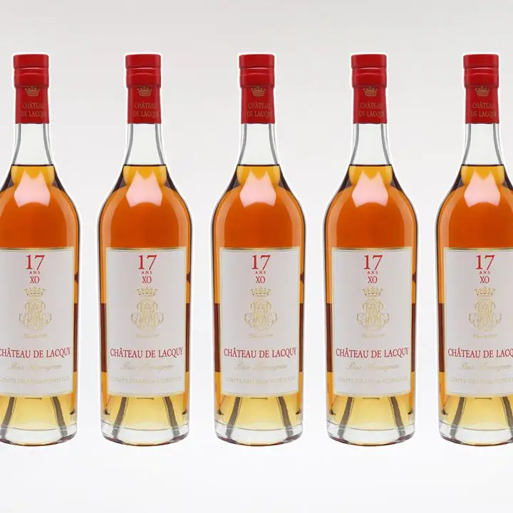 Chateau de Lacquy XO 17-Year-Old
