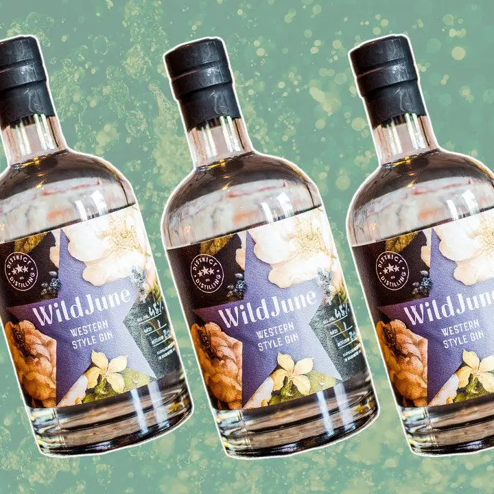 district distilling wildjune gin