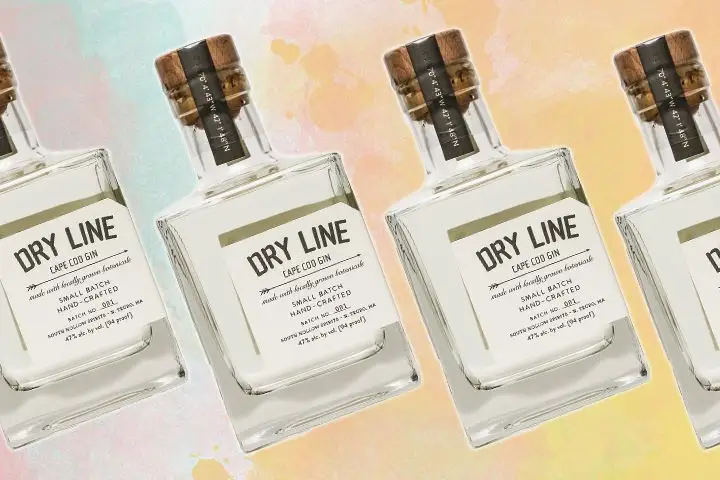 dry line gin