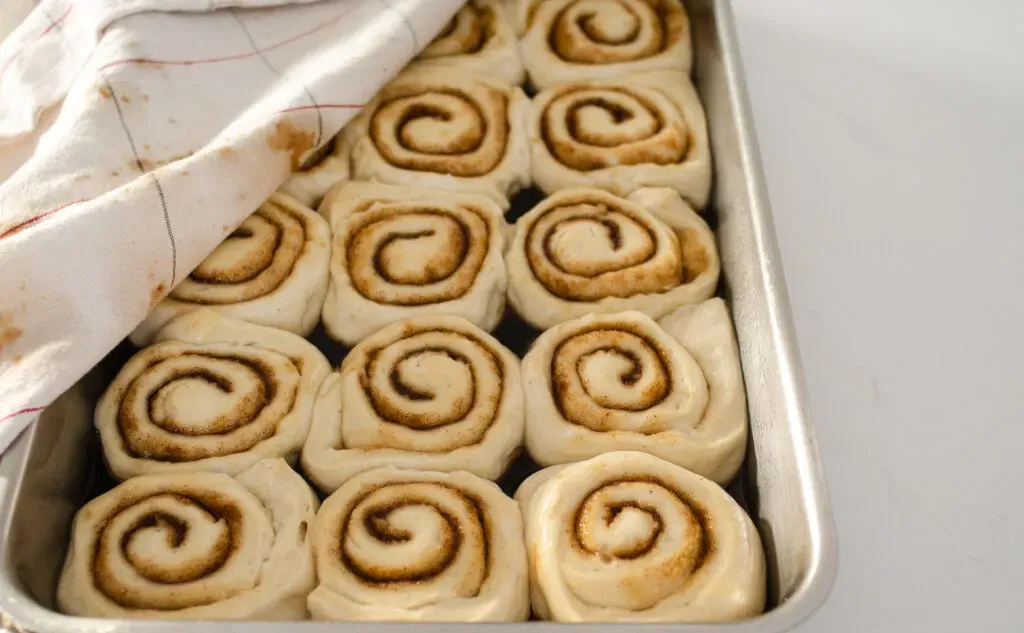 The risen vegan cinnamon rolls.' title='Cinnamon Roll Recipe Without Milk