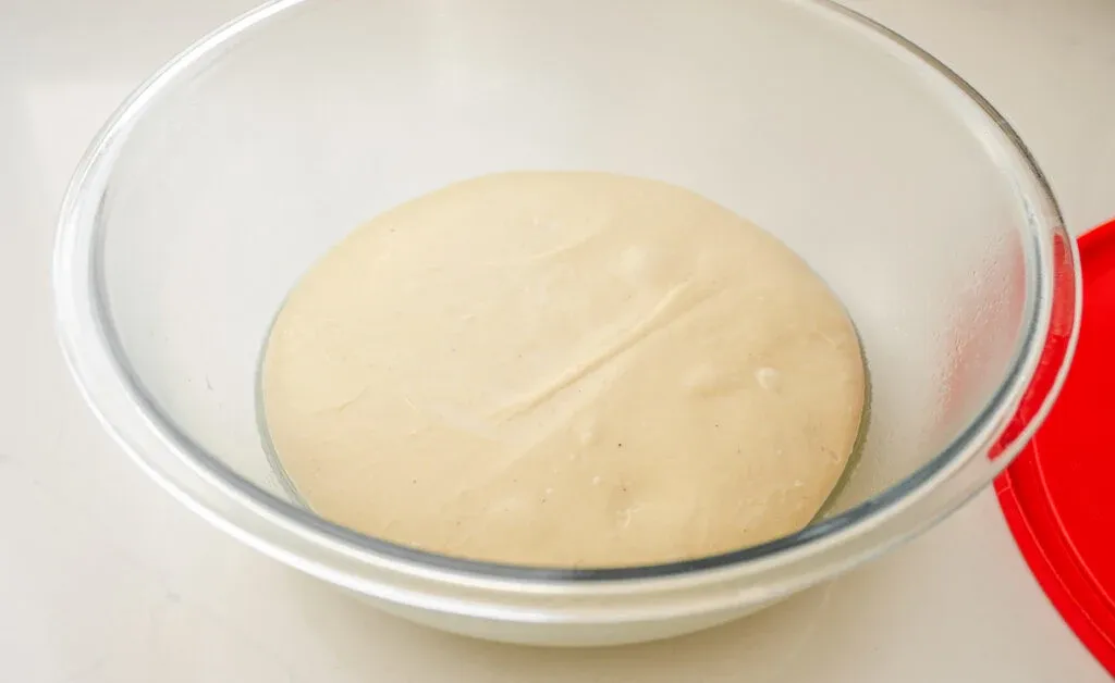 The risen dough in a greased bowl.' title='Cinnamon Roll Recipe Without Milk