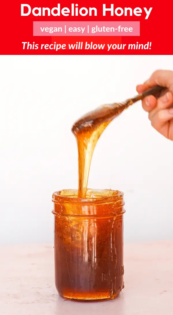 Miel de pissenlit végétalien