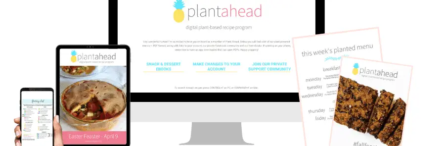 Recette de sauce pour pâtes à la vodka de Gigi Hadid végétalienne