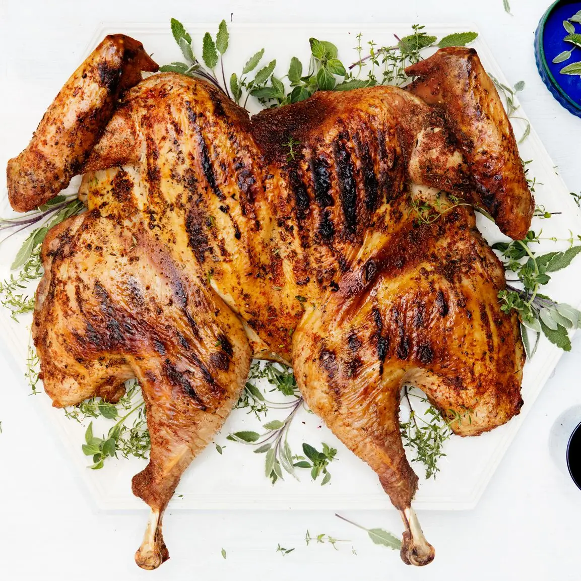 Peru grelhado sob um tijolo