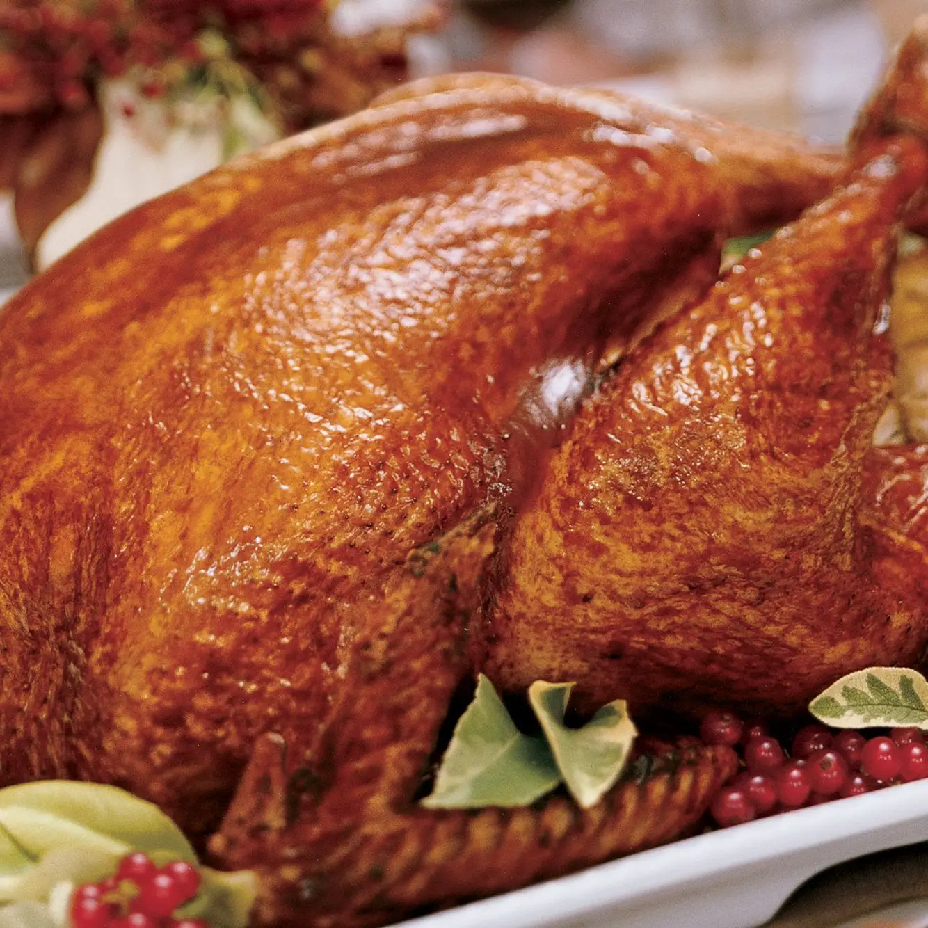 Turquia de sidra-casca e vidro