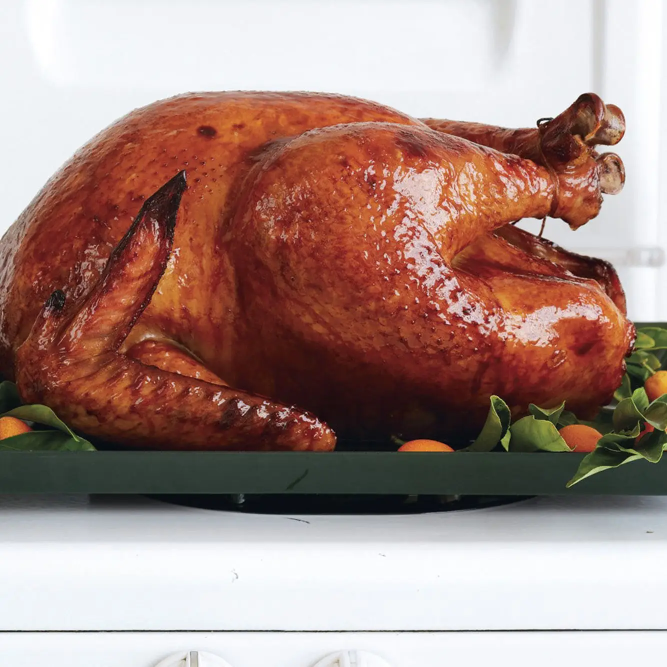 Turquia-cerebrada com anis estrelado e canela