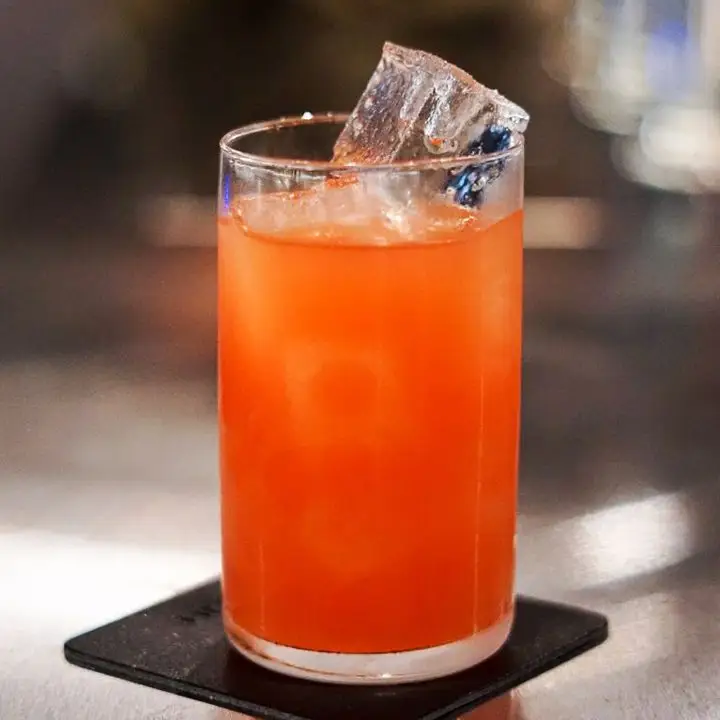 Oaxaction at The Cloakroom Bar in Montreal