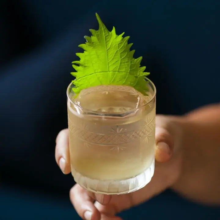 7 tendências que definiram como bebemos em 2021