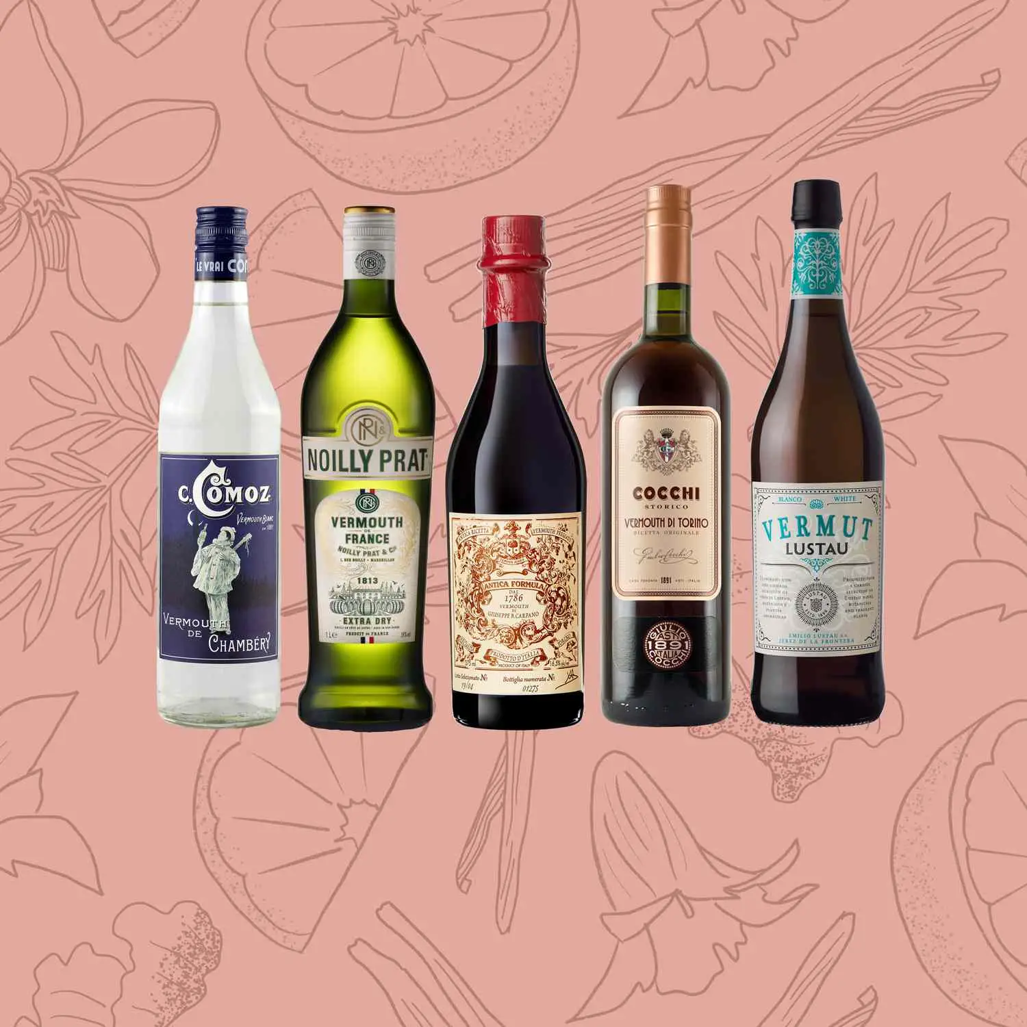 Bottles of Comoz Blanc Vermouth de Chambery, Noilly Prat Extra Dry Vermouth, Carpano Antica Formula, Cocchi Storico Vermouth di Torino and Vermut Lustau against botanical background that includes wormwood, cinnamon, chamomile, and citrus 