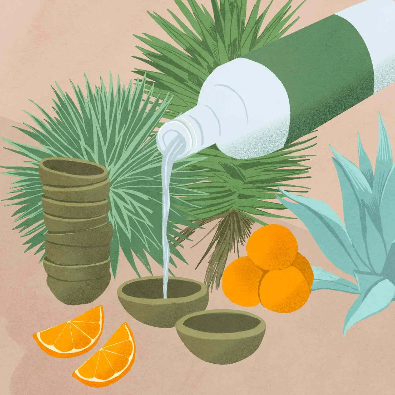 illustration of mezcal pouring into a copita in front of agave plants