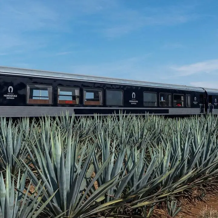 Embarque nessas 5 excursões de trem de destilaria, não é necessário chugging