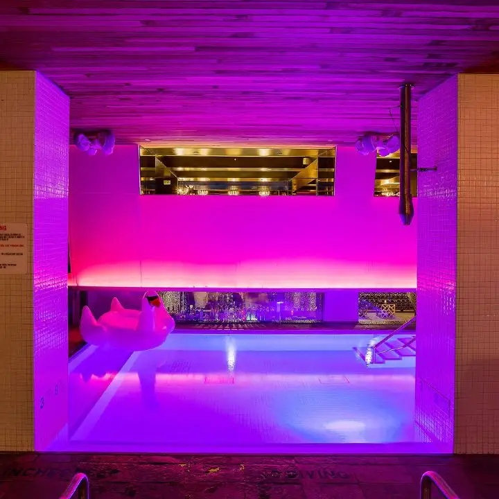 Room Mate Grace swim-up bar in NYC. A moody mix of pink and purple light suffuses the room. A floaty swan sits in the pool