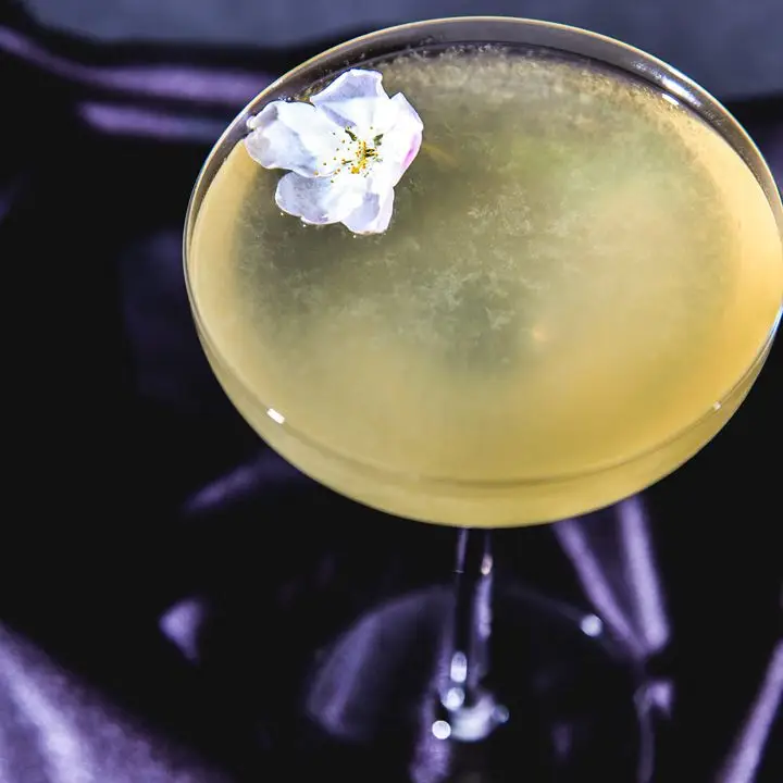 Zaatar Gibson made with fermented ingredients at Mother