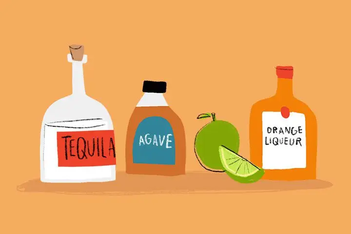 Margarita ingredients illustration