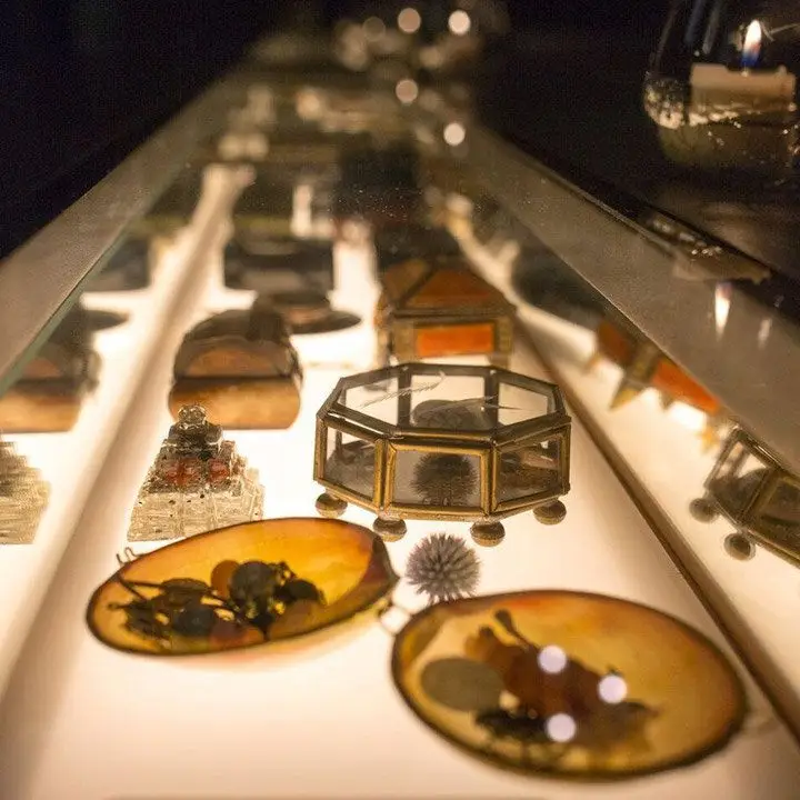 6 bares com barras de barra que você não pode parar de olhar