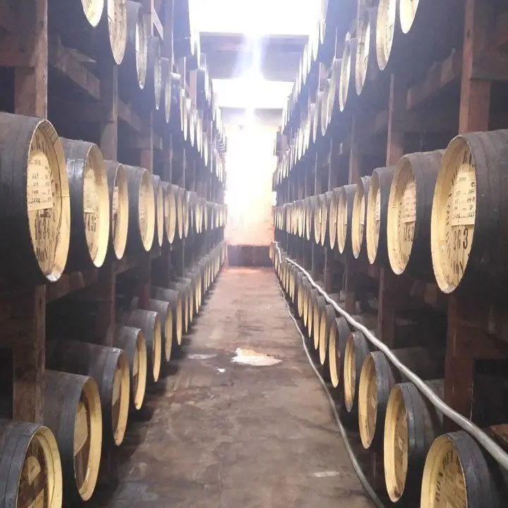 Ron del Barrilito distillery. with wall-to-wall barrels