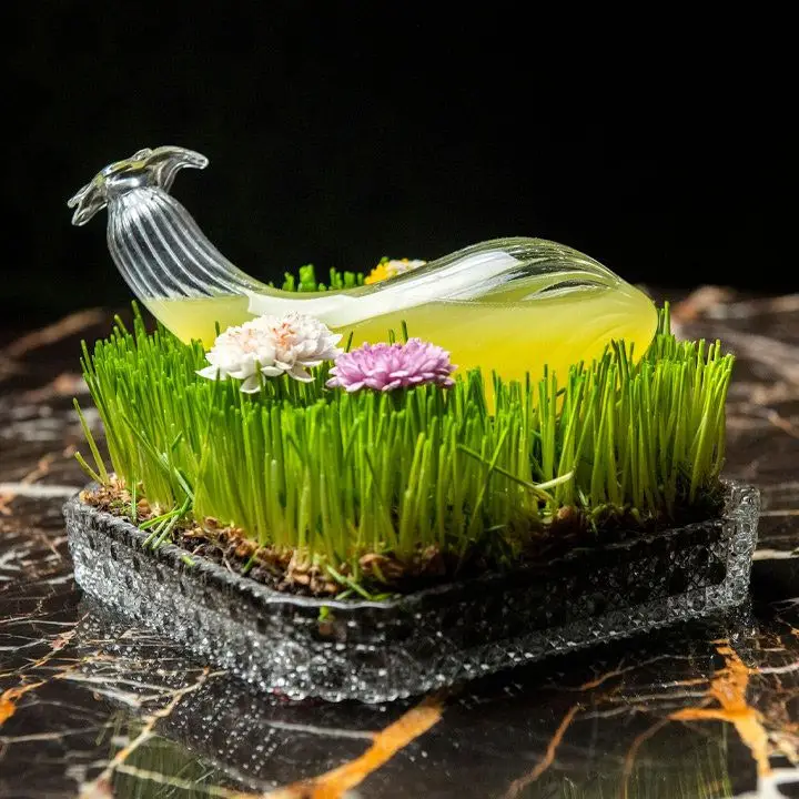 ay, chihuahua cocktail