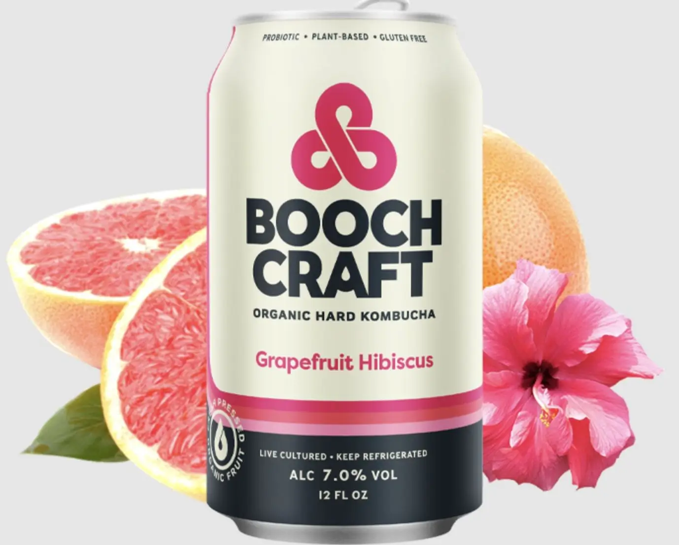 Os 8 melhores kombucha duro