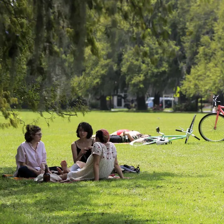 Drinking in a park in Savannah