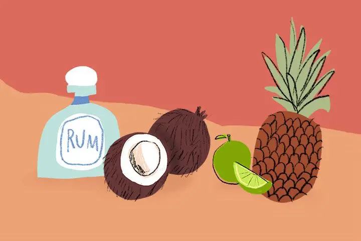 Pina Colada ingredients illustration