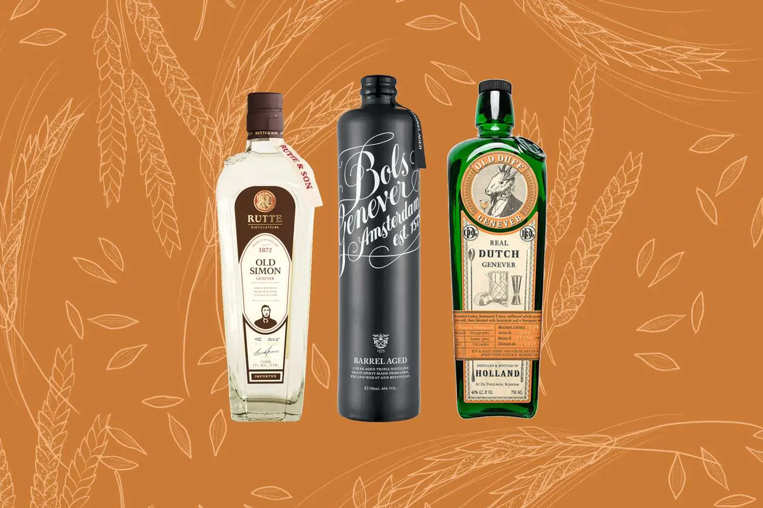 Bottles of Rutte Old Simon Genever, Bols Genever, and Old Duff Genever, on orange illustrated background with grains like wheat and barley