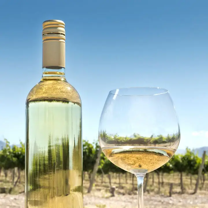 Wine glass at vineyard