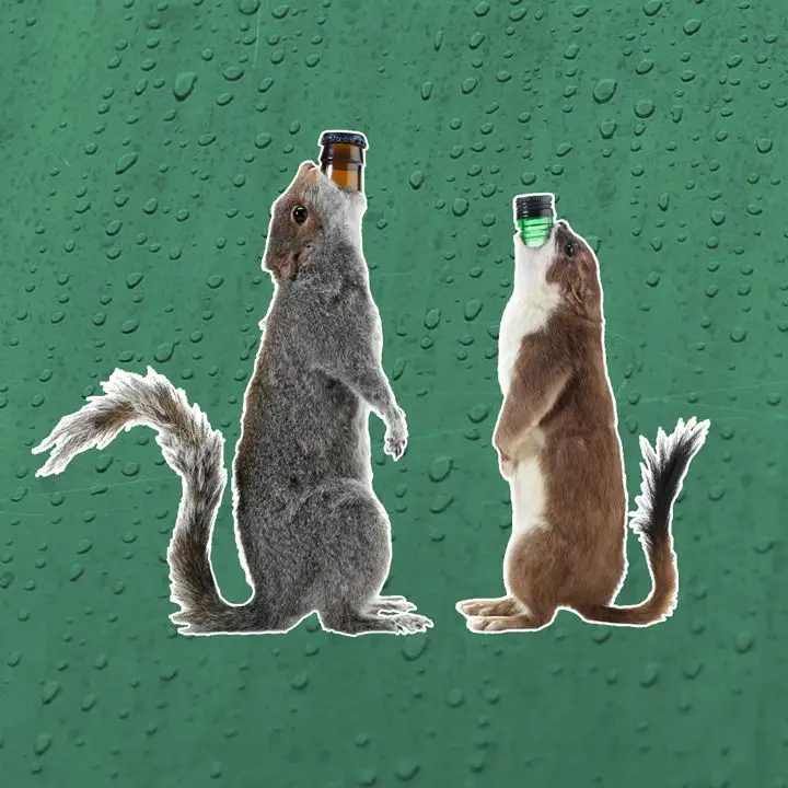 BrewDog The End of History