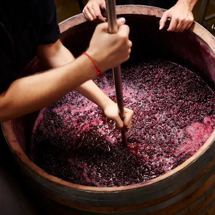 Wine fermenting