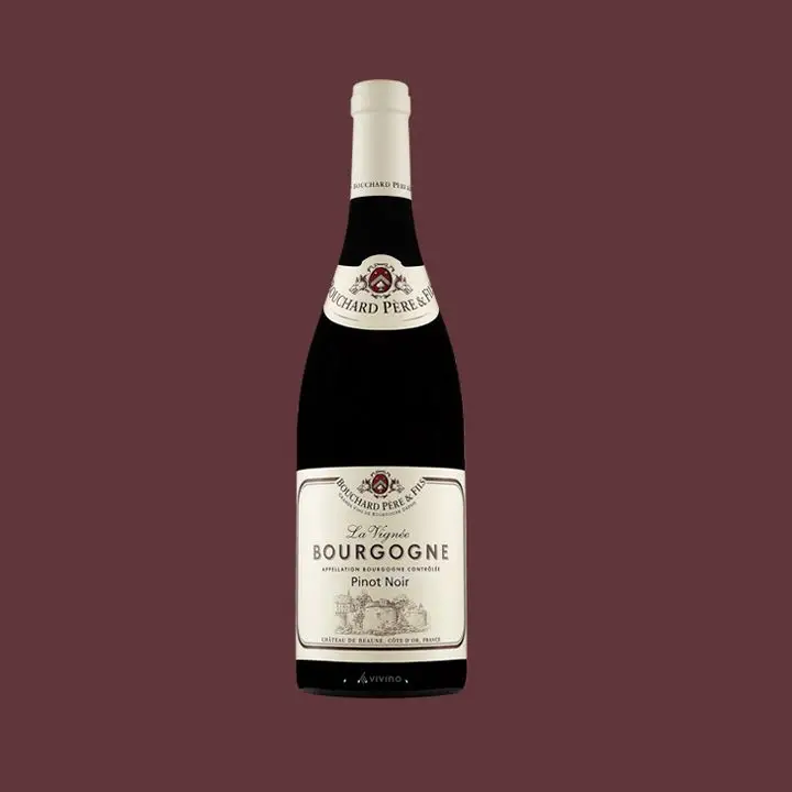 Bouchard Père & Fils Bourgogne Pinot Noir