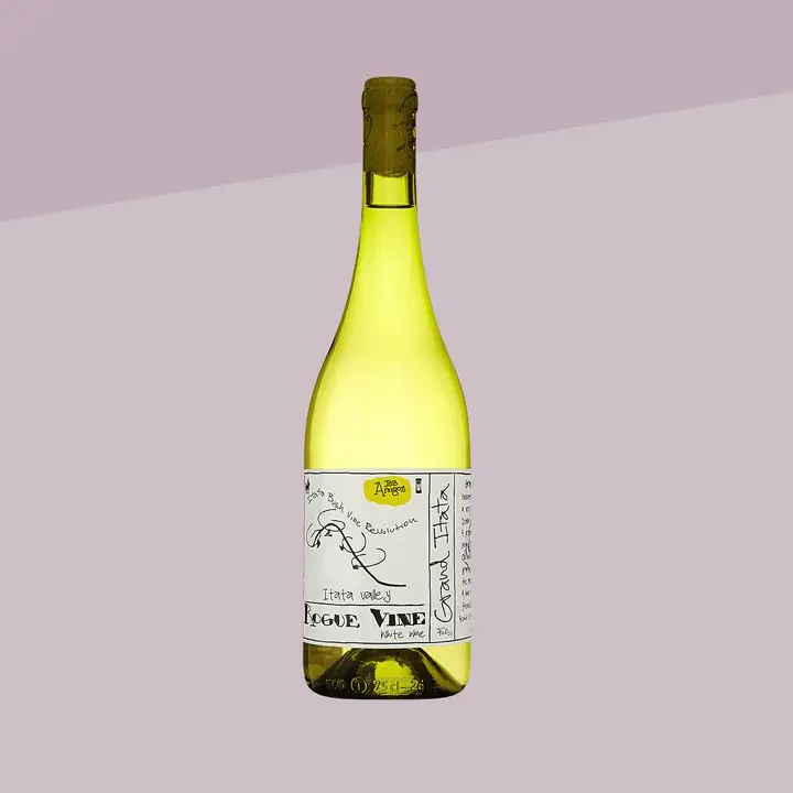 Rogue Vine Grand Itata Blanco - Chilean Wine