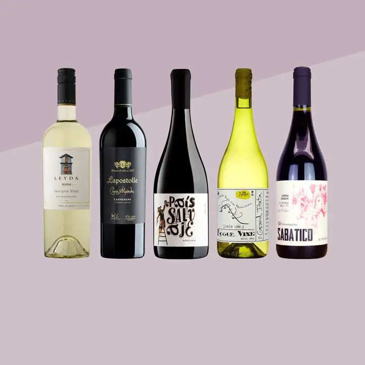 Chilean Wine: What to Know and 5 Bottles to Try